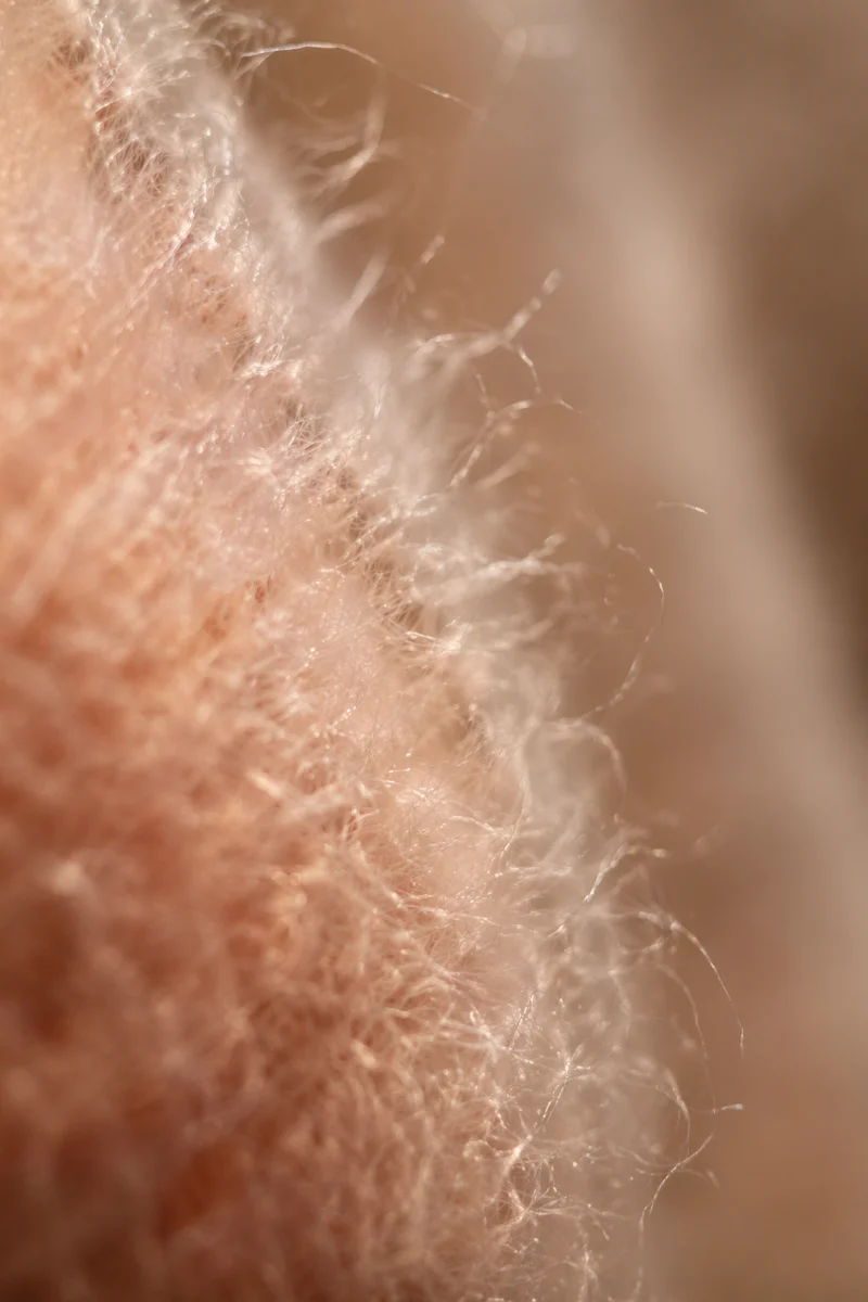 Soft Peach Fuzz Velvet Macro Texture